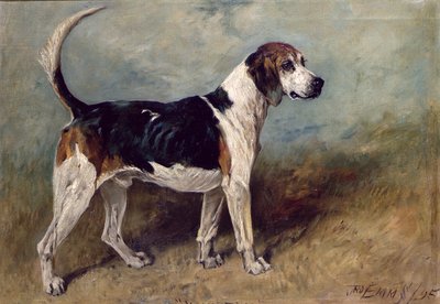 Pierre de lune, 1895 - John Emms